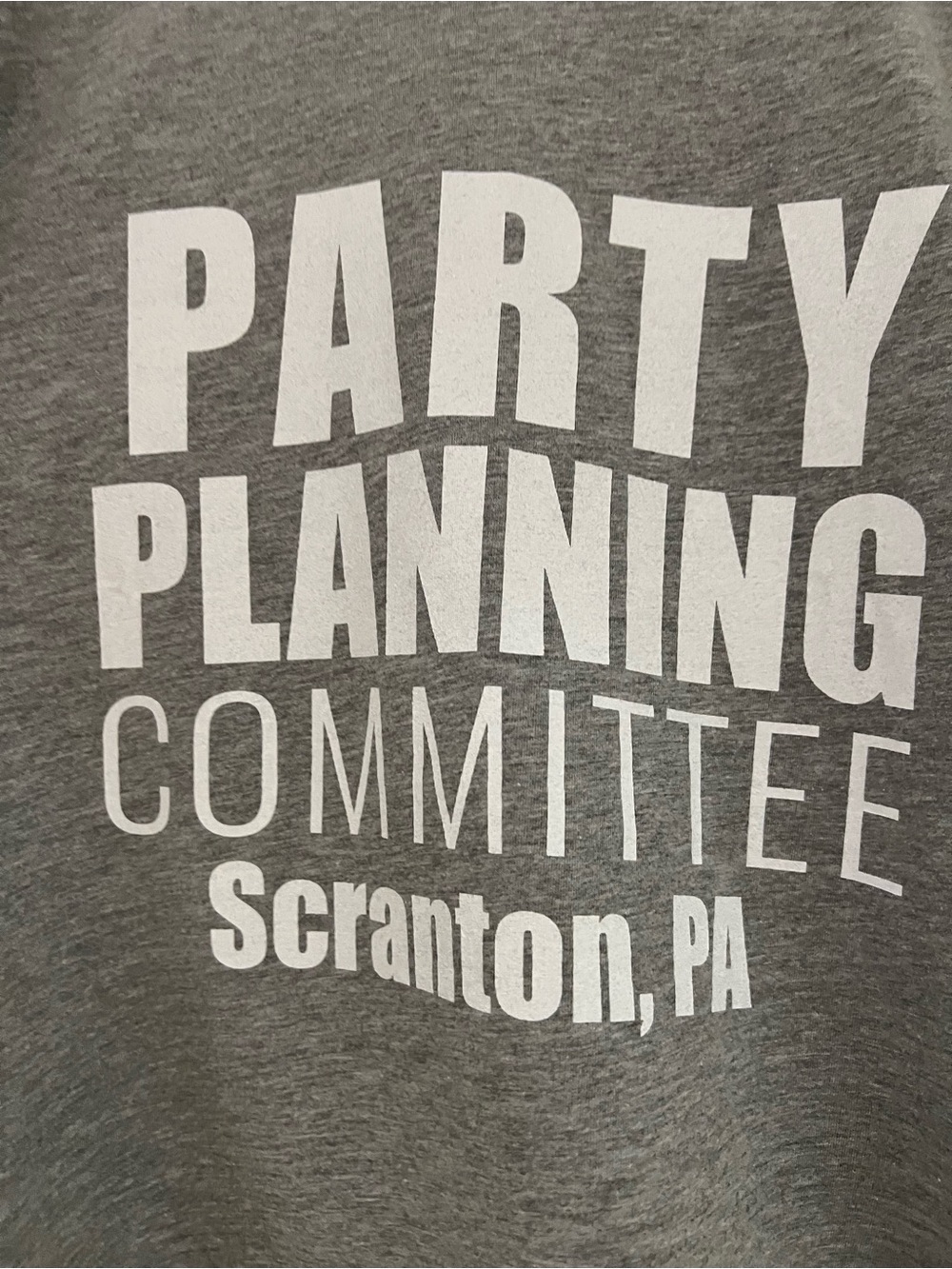 Party Planning Committee Graphic Tee